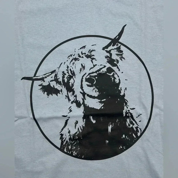 HIGHLAND‎ COW T-Shirt Light Blue Various Sizes NEW!! - Picture 3 of 5